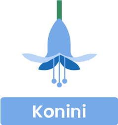 Konini