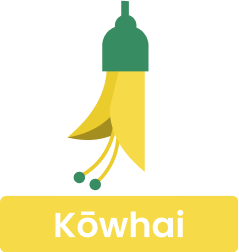 Kowhai