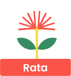 Rata